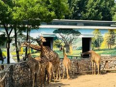 -北京野生动物园