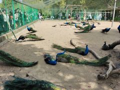 -苏州上方山国家森林公园