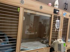 -爱哆宠物医院·骨科·外科·猫科