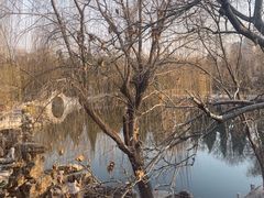 -莲池书院博物馆