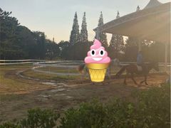 -太阳岛度假酒店