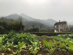 -会稽山峡洞漂流-上青古道