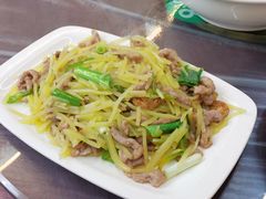 -铁山坪森林公园