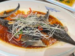 -靖远尕六美味羊羔肉