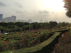 -紫马岭公园