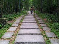 -明月山风景名胜区