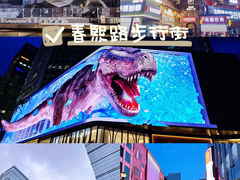-春熙路步行街