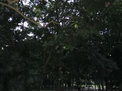 -西南交通大学(九里校区)