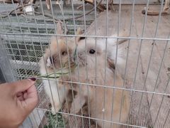 -长白山聚龙火山温泉