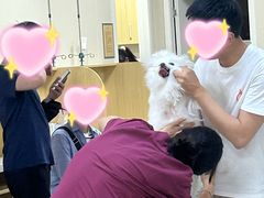 -美联众合爱康动物医院•复杂内科•肿瘤科•牙科•腔镜诊疗中心