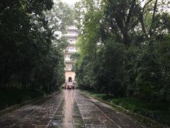 -灵谷景区