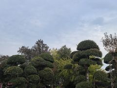 -武汉紫薇都市田园