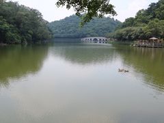 -李小龙乐园(顺德均安店)