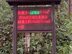 -姑婆山旅游区