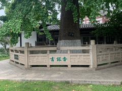 -常熟方塔园