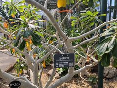 -北京植物园-展览温室
