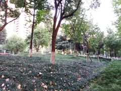 -龙头寺公园