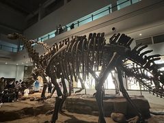 -自贡恐龙博物馆