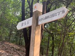 -火炉山森林公园