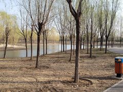 -东郊湿地公园