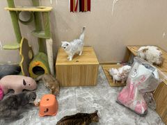-东方之珠洗浴休闲广场(南开店)