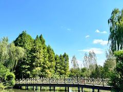 -溱湖国家湿地公园