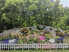 -上海共青森林公园