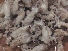 -宏运厨房·海鲜青岛菜·生日宴(城市阳台店)
