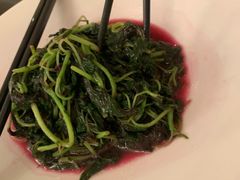 菠菜-天伦里餐厅(绿城桃花源店)