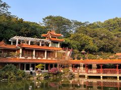 -深圳仙湖植物园