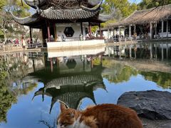 -西园戒幢律寺