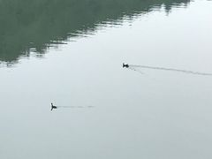 -南京市无想山景区