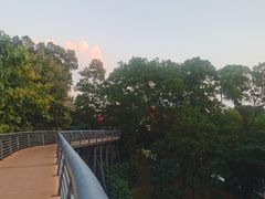 -玉树公园