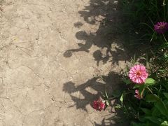 -漩门湾国家湿地公园