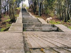 -昭山风景名胜区