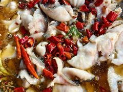 -金三可市井水煮鱼(金碧园店)