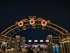 -武汉知音号
