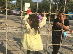 游乐设施-兰陵国家农业公园