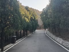 -佛慧山