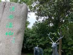 -溱湖国家湿地公园