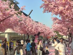 -东莞松山湖万象汇