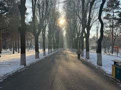 -哈尔滨文化公园