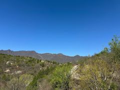 -白水寺森林公园