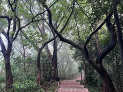 -广州市白云山风景名胜区