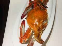 -高佳庄·舟山海鲜(海景旗舰店)