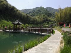 -龙坞茶村