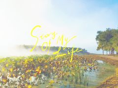 -丁香湖公园
