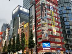 -秋叶原电器街