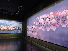 -罗红摄影艺术馆