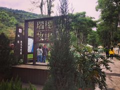 -瑞穗牧场